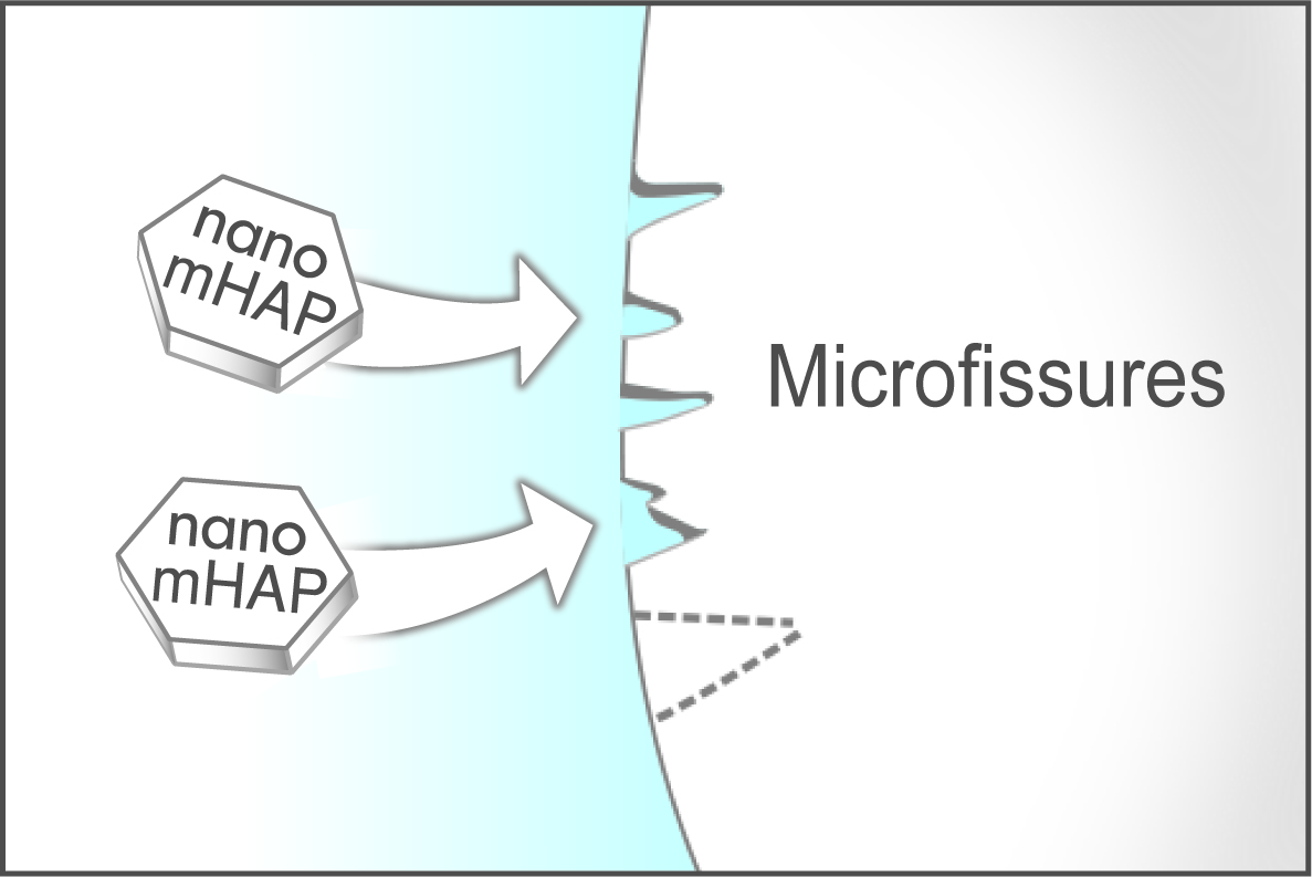 Filling of microfissures