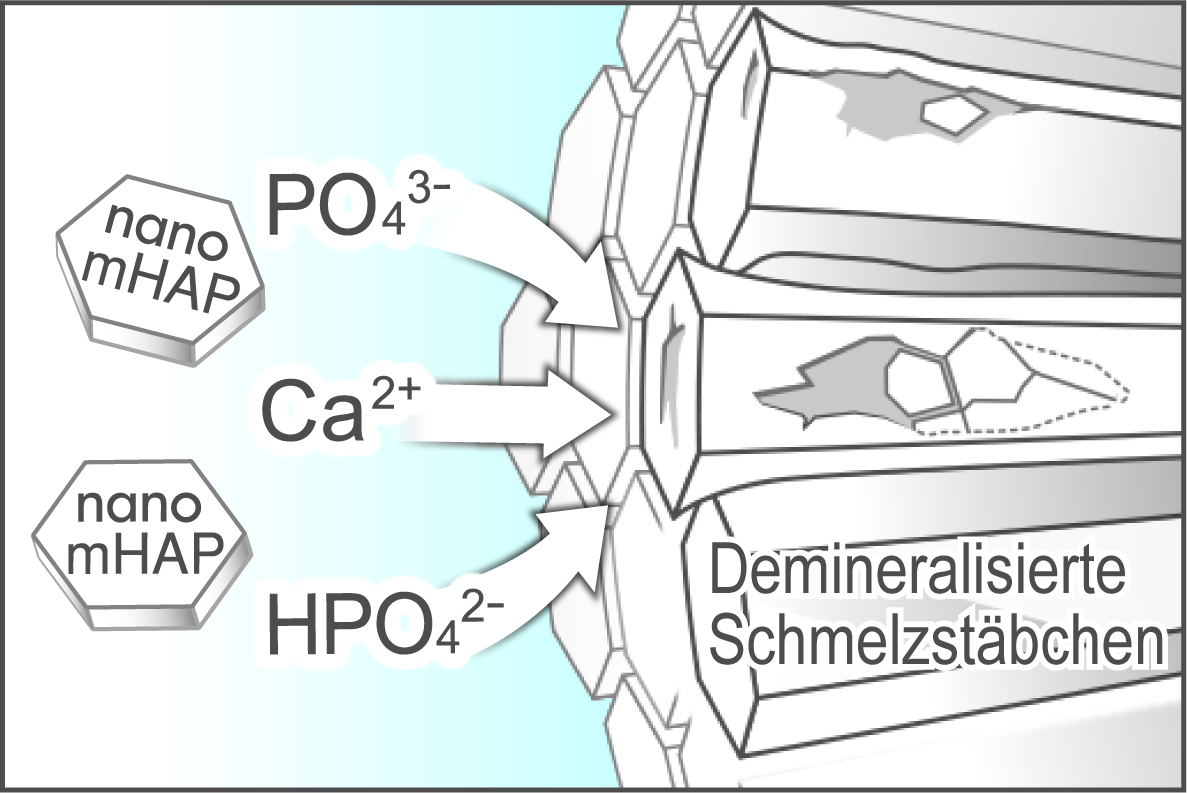 Remineralisierung Remineralisierung unterhalb der Schmelzoberfläche