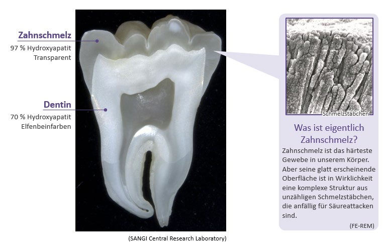 Was ist Hydroxyapatit